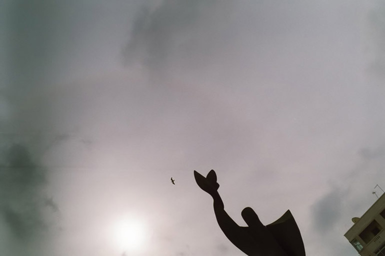 Sun Halo and Seagull - by: Aymen Ibrahem (Zenit 37mm, F2.8, 1/500 second exposure, Kodak Ultra 400)