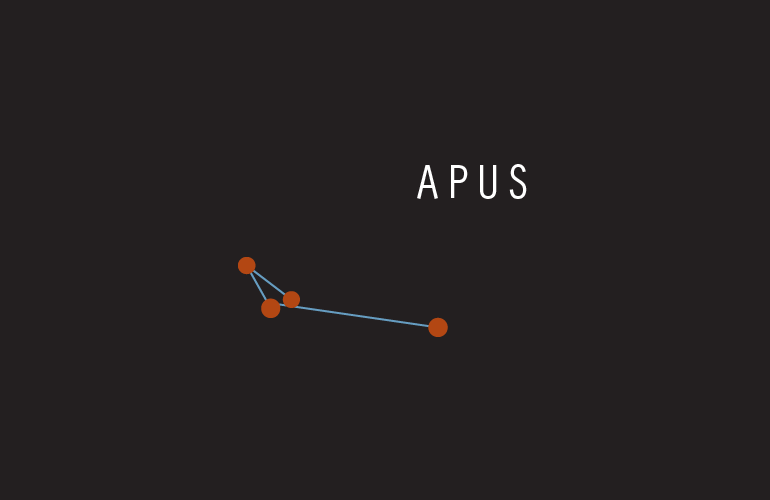 Constellations - Apus (Bird of Paradise)