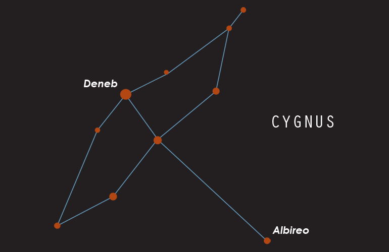 Constellations - Cygnus (Swan)