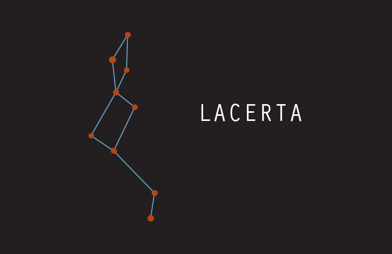 Constellations - Lacerta (Lizard)