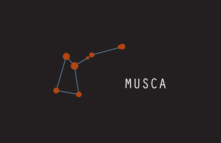 Constellations - Musca (Fly)