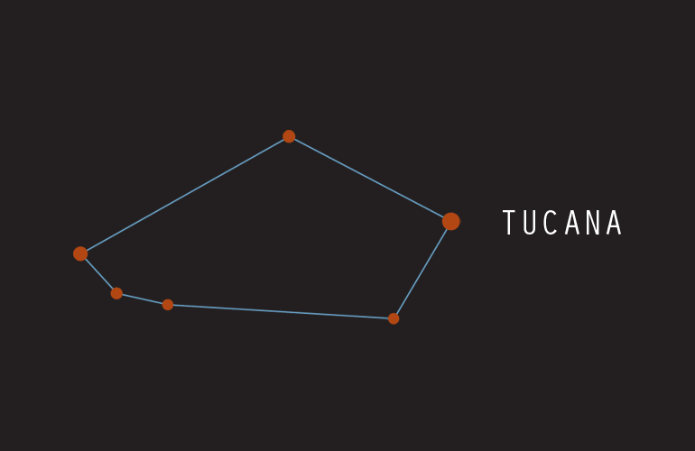 Constellations - Tucana (Toucan)