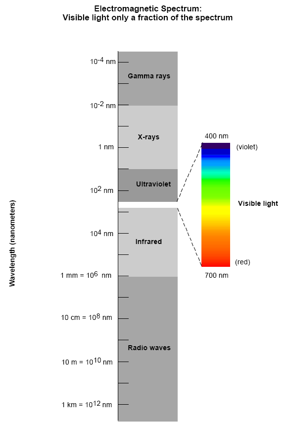 atomic emission spectrum quizlet