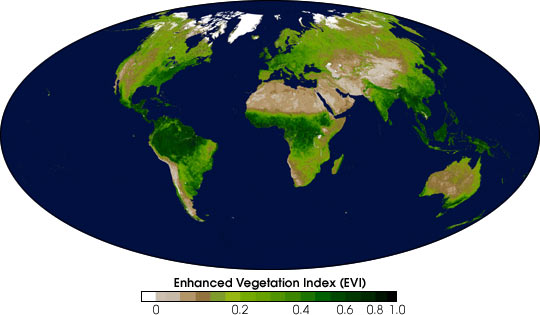Enhanced Vegitation Map