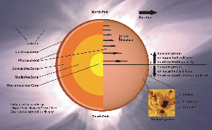 parts of sun corona