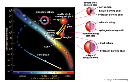 low mass star order