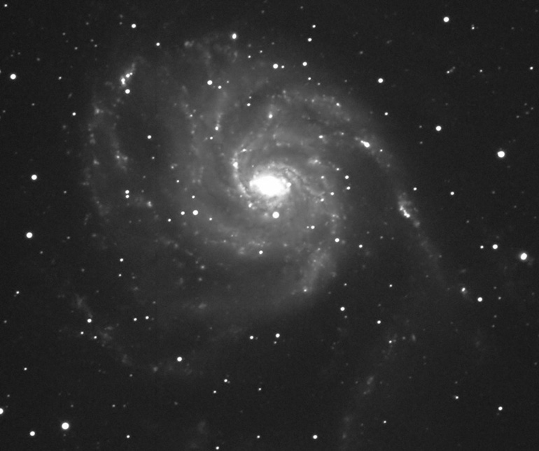 Galaxy M101 by Ricky Murphy. 20 inch RC telescope, STL-11000 camera, 5 minute exposure.