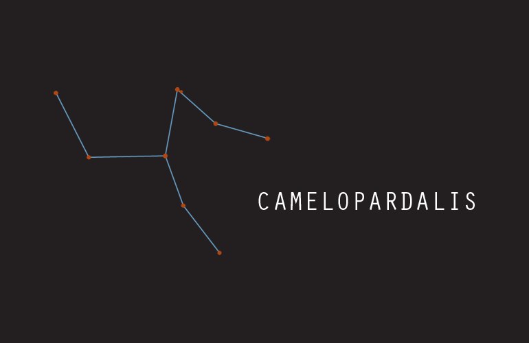 Constellations - Camelopardalis (Giraffe)